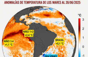 “El Niño ya empezó, ahora hay que ocuparse y no alarmarse”