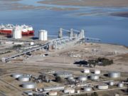 LDC construirá una planta para procesar girasol y soja en Bahía Blanca