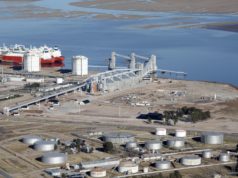 LDC construirá una planta para procesar girasol y soja en Bahía Blanca