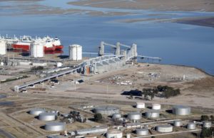 LDC construirá una planta para procesar girasol y soja en Bahía Blanca