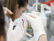 El Gobierno modificó el régimen de patentes en biotecnología
