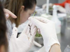 El Gobierno modificó el régimen de patentes en biotecnología