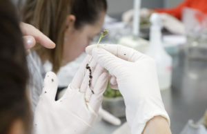 El Gobierno modificó el régimen de patentes en biotecnología