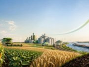 Proyección agrícola y sustentabilidad 2035
