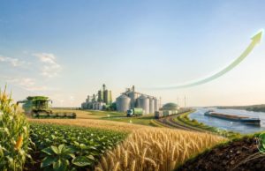 Proyección agrícola y sustentabilidad 2035