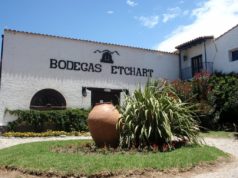 La histórica Bodega Etchart pasa a manos de Molinos