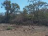 Bosques nativos: Santiago del Estero lidera una iniciativa de la FAO