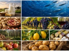 Récord de exportaciones de las economías regionales agroindustriales