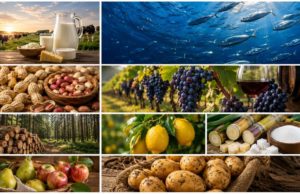 Récord de exportaciones de las economías regionales agroindustriales