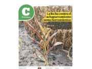 Lea la última edición de El Tribuno Campo