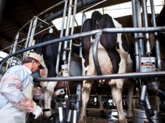 Producción y exportaciones en máximos