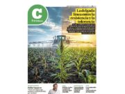 Lea la última edición de El Tribuno Campo