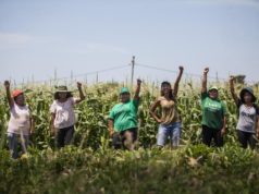 Crece la participación de mujeres en la agroindustria
