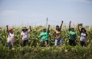 Crece la participación de mujeres en la agroindustria