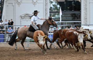 El Criollo exhibe su crecimiento en la Expo Rural
