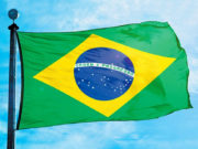 Brasil achica el sacrificio de hembras