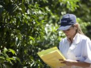 Nueva normativa para la clasificación de plagas en Argentina