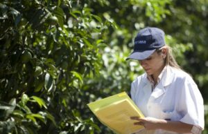 Nueva normativa para la clasificación de plagas en Argentina