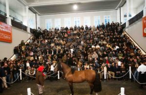 Récord: pagaron $ 150 millones por el 90 % de un Caballo Criollo