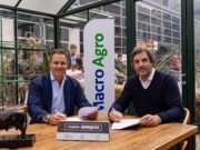 Financiamiento para los Brangus