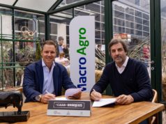 Financiamiento para los Brangus