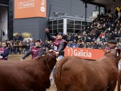 Braford consagró a sus grandes campeones de Palermo