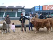Tim Payne, Tini Tini y De Paul abrieron la Expo Rural 2026