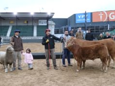 Tim Payne, Tini Tini y De Paul abrieron la Expo Rural 2026