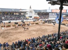 La Expo Rural 26 cerró con negocios por $ 25.000 millones y 1,3 millones de visitantes