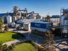 Bunge lideró el ranking agroexportador