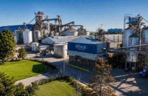 Bunge lideró el ranking agroexportador