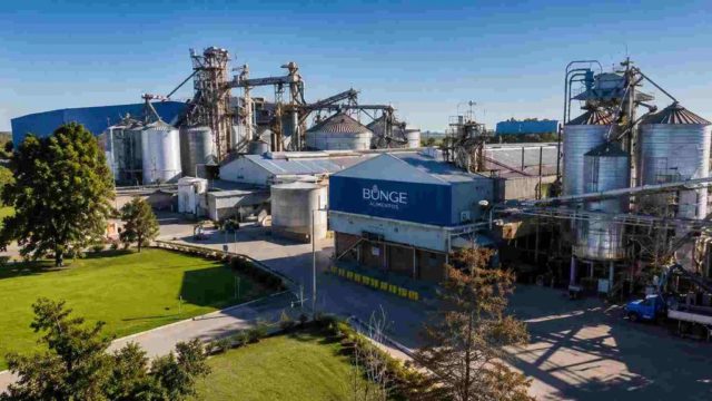 exportaciones bunge