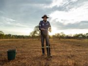 Lanzan una app para elegir el cultivo adecuado en cada lote