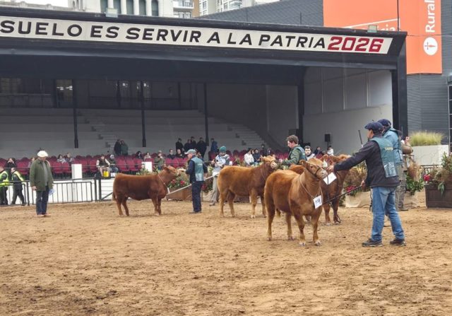 limangus expo rural 26 3.jpg