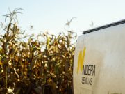 La confianza, el activo que sostiene al negocio semillero
