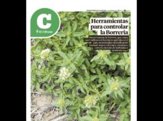 Lea la última edición de El Tribuno Campo