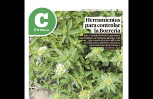 Lea la última edición de El Tribuno Campo