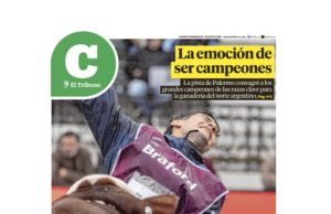 Lea la última edición de El Tribuno Campo