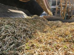 NOA: la zafra azucarera suma ingenios y acelera su ritmo