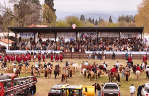 El campo fijó su agenda en Salta: retenciones, infraestructura y ganadería