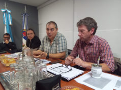 NOA: Senasa y provincias coordinan controles para el ingreso de bananas