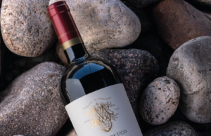 Magia De Uco presenta un Cabernet Sauvignon para celebrar su día