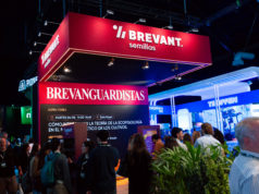 Brevant presentó su “Colección 2026”