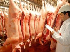 Según FAO, bajó el precio de las carnes