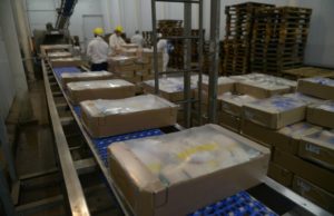 Corea del Sur vuelve a habilitar la carne aviar argentina