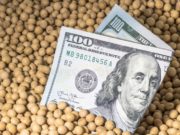 Cae la liquidación de divisas