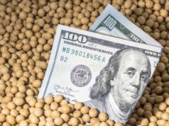 Cae la liquidación de divisas