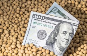 Cae la liquidación de divisas