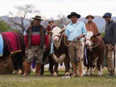 La Expo Rural Salta cerró con buenos negocios y genética en pista