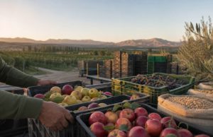 El “otro agro” exporta más, pero con un escenario menos favorable